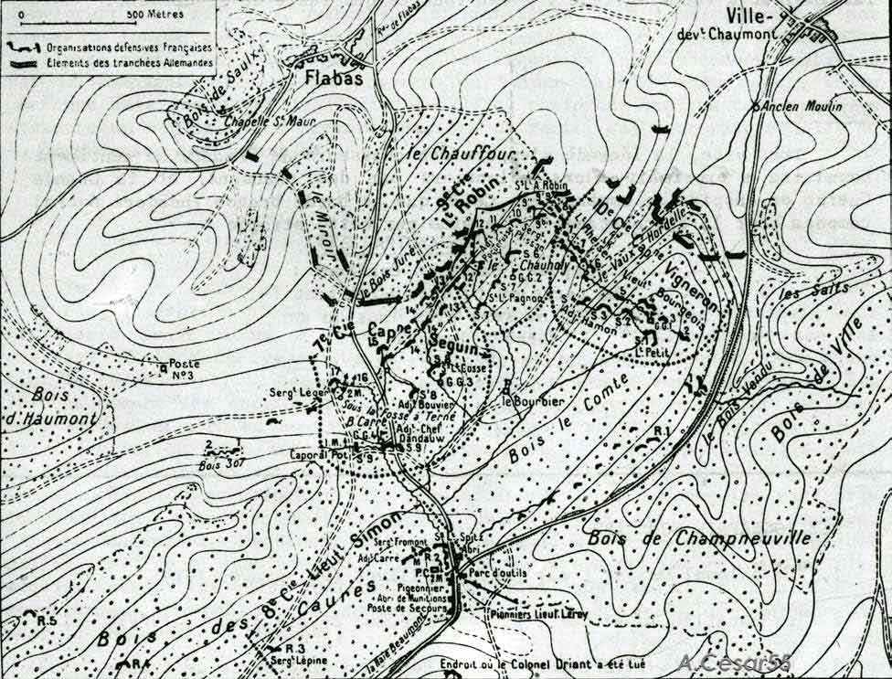 Description de l'image